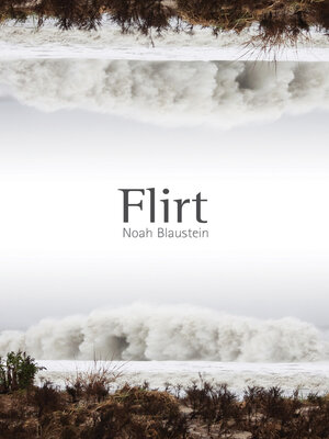 cover image of Flirt